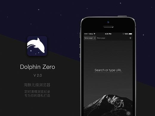 海豚隐私浏览器dolphin zero V2.0设计