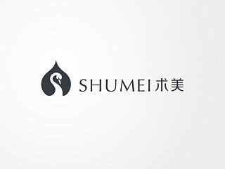 术美