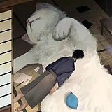 Hygge4869的头像