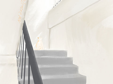 貓（個人主頁-ZNDYzNzQ3MzI=） - 創(chuàng)作習(xí)作 - 站酷設(shè)計師插畫NW原創(chuàng)素材 - 站酷ZCOOL