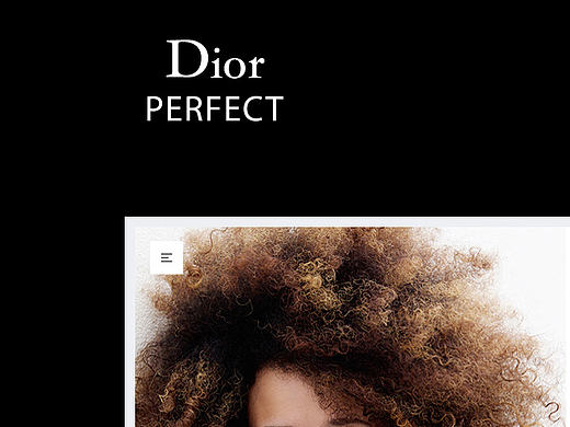 Dior（个人主页-ZMjE3NjY3MzY=） - 电商 - 站酷设计师大写的V原创素材 - 站酷ZCOOL