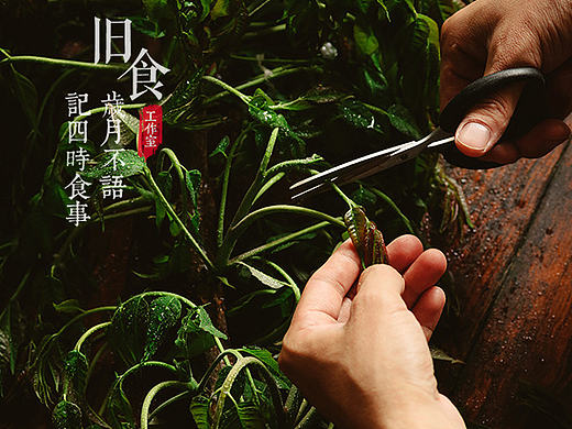 炸香椿鱼儿