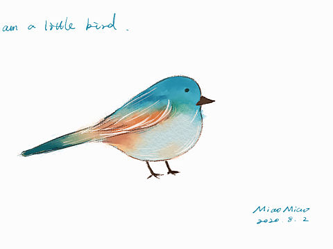 我是一只小小鳥（個(gè)人主頁(yè)-ZNDY0MTc0MzI=） - 兒童插畫 - 站酷設(shè)計(jì)師高淼淼原創(chuàng)素材 - 站酷ZCOOL