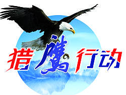 招聘 猎鹰 飞机搞