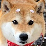 摄影师十三Y的头像