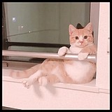 1204127040的头像