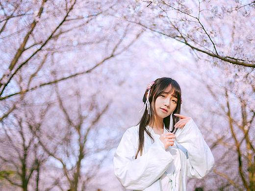 惜芳菲
