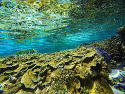 FijiTime（个人主页-ZMjk3OTUyOA==） - 风光摄影 - 站酷设计师joi110520原创素材 - 站酷ZCOOL