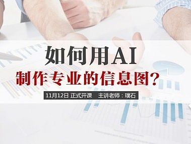 【双十一大促销】锐普首席图表设计师璞石-如何用AI制作专业的信息图