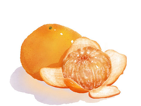 🍊橘子&果酱🧡