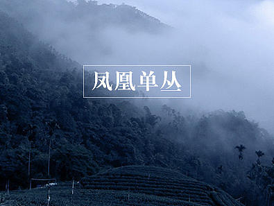 正山小种-正韵级详情