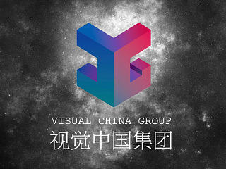 视觉中国集团logo