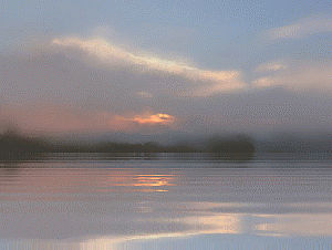 抹（个人主页-ZMTQzMjA0MjA=） - 艺术插画 - 站酷设计师攻攻攻原创素材 - 站酷ZCOOL