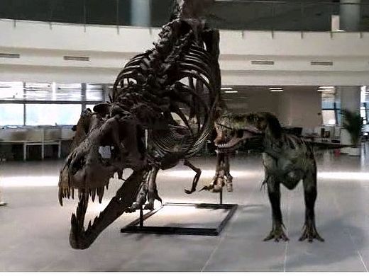 視頻: 媽咪，你身上的肉跑到哪里去了，，（個人主頁-ZOTYzODM5Mg==） - 影視后期 - 站酷設(shè)計師abcwh314原創(chuàng)素材 - 站酷ZCOOL