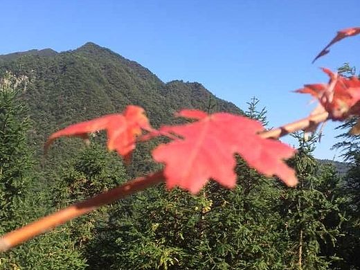 寂静喜欢（个人主页-ZMTM2NTgxOTI=） - 风光摄影 - 站酷设计师Sunny设计萌主原创素材 - 站酷ZCOOL