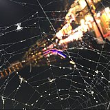 空白的你我的头像