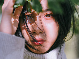 摄影收藏