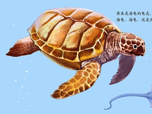 《猜猜我是谁》系列图书实物照片以及部分内插