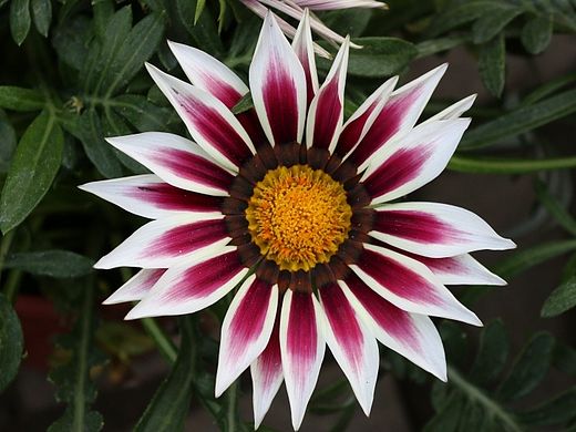 清明时节雨纷纷（个人主页-ZNzU2NDczNg==） - 风光摄影 - 站酷设计师摩羯光原创素材 - 站酷ZCOOL