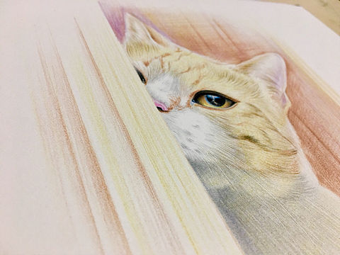 每天进步一点点