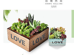 网店盆栽首页