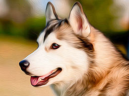 來(lái)一波照片轉(zhuǎn)手繪