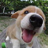 qpbb的头像