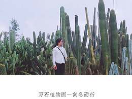 好春光不負(fù)植物