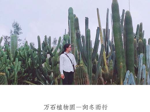 好春光不負植物（個人主頁-ZMTkyMzU0MzI=） - 人像攝影 - 站酷設計師蘇四SYLVIA原創(chuàng)素材 - 站酷ZCOOL