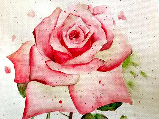 水彩手绘（个人主页-ZMTgzMTI3NjQ=） - 创作习作 - 站酷设计师甲甲玲原创素材 - 站酷ZCOOL