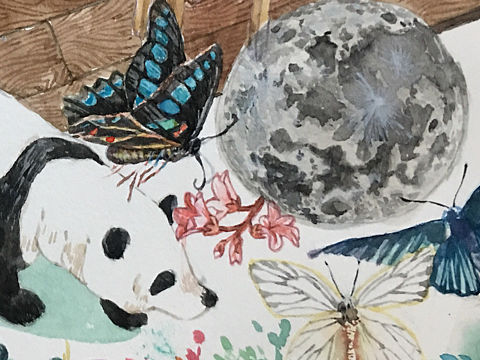 森林之课（个人主页-ZMjYxNDAzMDA=） - 绘本 - 站酷设计师画画的猴子qsy原创素材 - 站酷ZCOOL