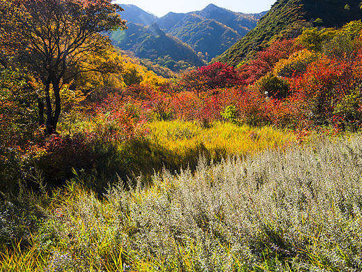 大青山风景