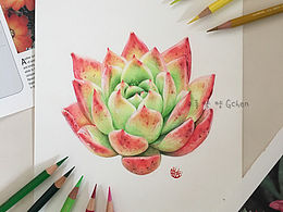 手繪多肉