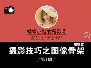蝈蝈小姐的摄影课—摄影技巧之图像骨架基础篇（第一季）