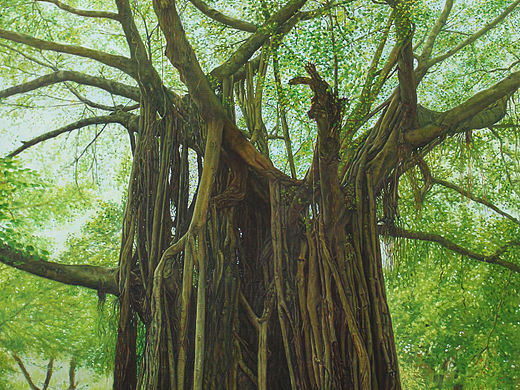 张咏鑫写实风景油画作品《榕城制造-怒放》尺寸50*70cm
