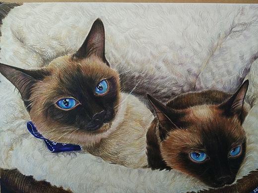 家有大暹罗（个人主页-ZMTcwMzQzODA=） - 绘画 - 站酷设计师夏目侑子原创素材 - 站酷ZCOOL