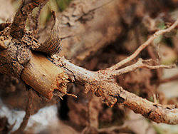 NEX-5RL初学试用，放图几张（个人主页-ZMjU1MTYyNA==） - 风光摄影 - 站酷设计师YarKb原创素材 - 站酷ZCOOL