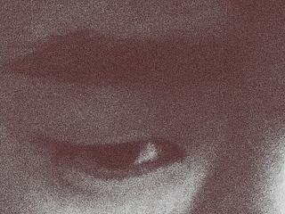 或许你并不想知道的 他们不如诗的生活