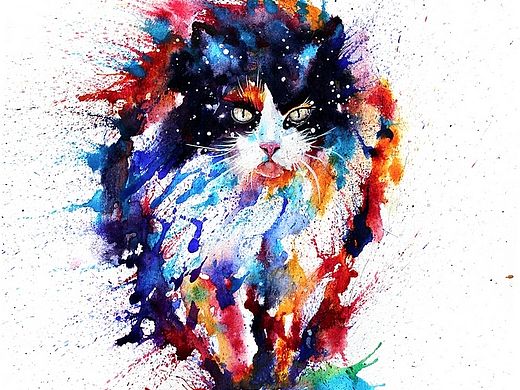 水彩下的貓青年（個人主頁-ZODAzOTE0MA==） - 商業(yè)插畫 - 站酷設(shè)計師lvireland原創(chuàng)素材 - 站酷ZCOOL