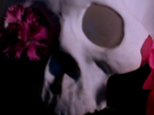 美麗靈魂（個(gè)人主頁-ZMTY2MzkzMjQ=） - 產(chǎn)品攝影 - 站酷設(shè)計(jì)師麻池原創(chuàng)素材 - 站酷ZCOOL