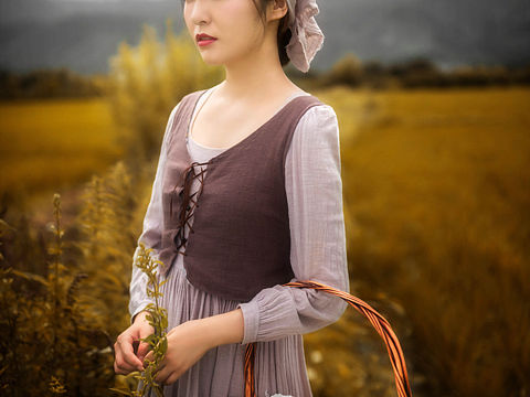 乡间的稻田里