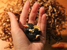 神奇動(dòng)物在哪里之錢都去哪了 嗅嗅niffer！