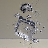 小九一的头像