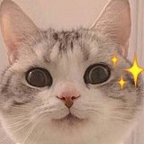 邓慌慌的头像