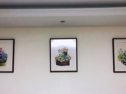 水彩多肉装饰画