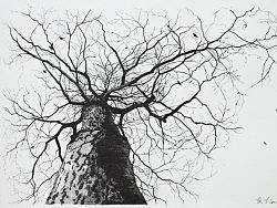 手绘插画、创作