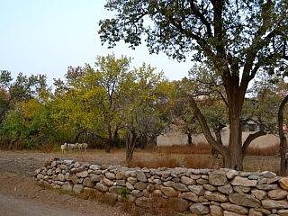 记忆里的秋天（个人主页-ZNzg3MTg4NA==） - 风光摄影 - 站酷设计师李腾Rose原创素材 - 站酷ZCOOL