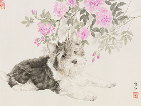 月季花与小狗 云亮国画画狗 