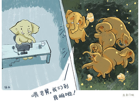 大象 走啊去亲戚家蹦迪