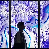 DW0901的头像